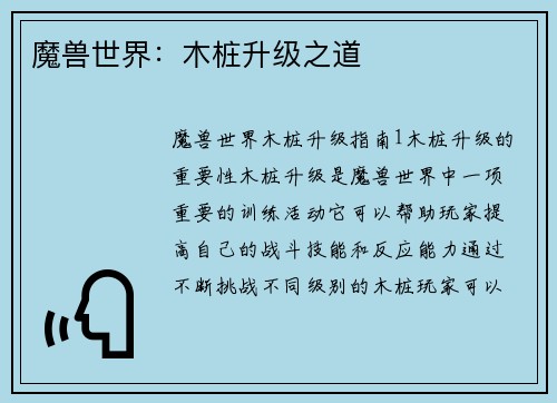 魔兽世界：木桩升级之道